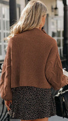 Brown Cable Knit High Neck Sweater