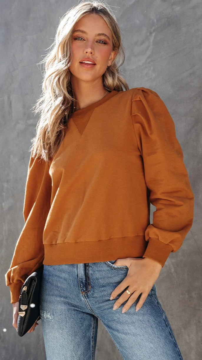 Camel Long Sleeves Sweatshirt